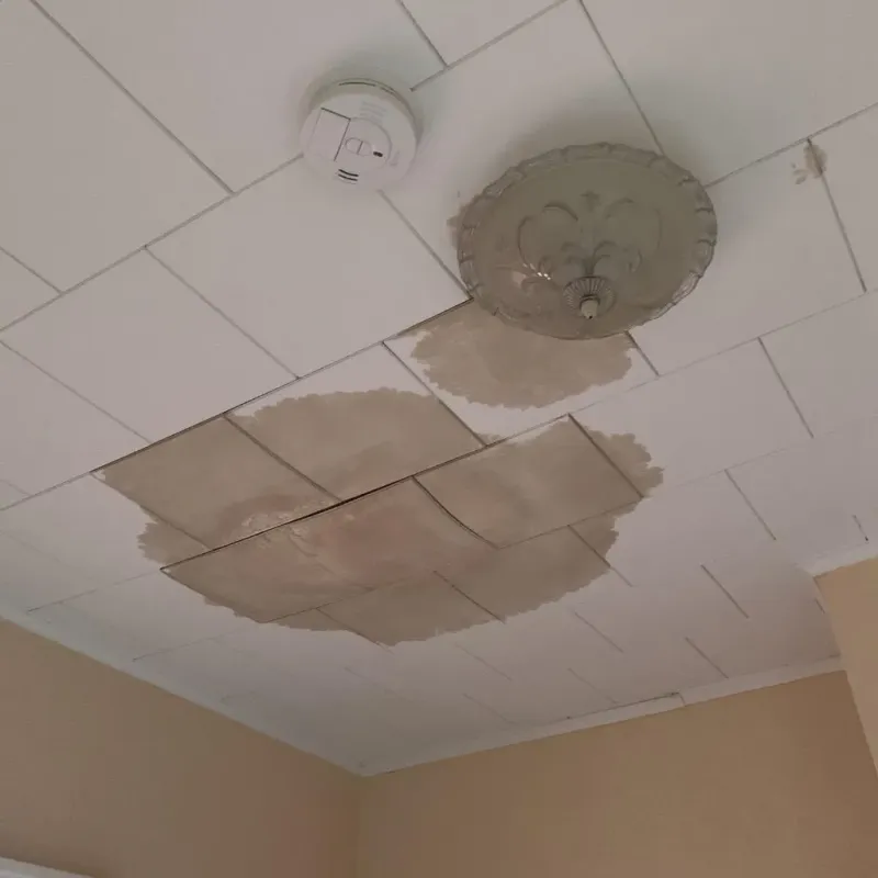 Ceiling Water Damage Repair in Woodville, MS