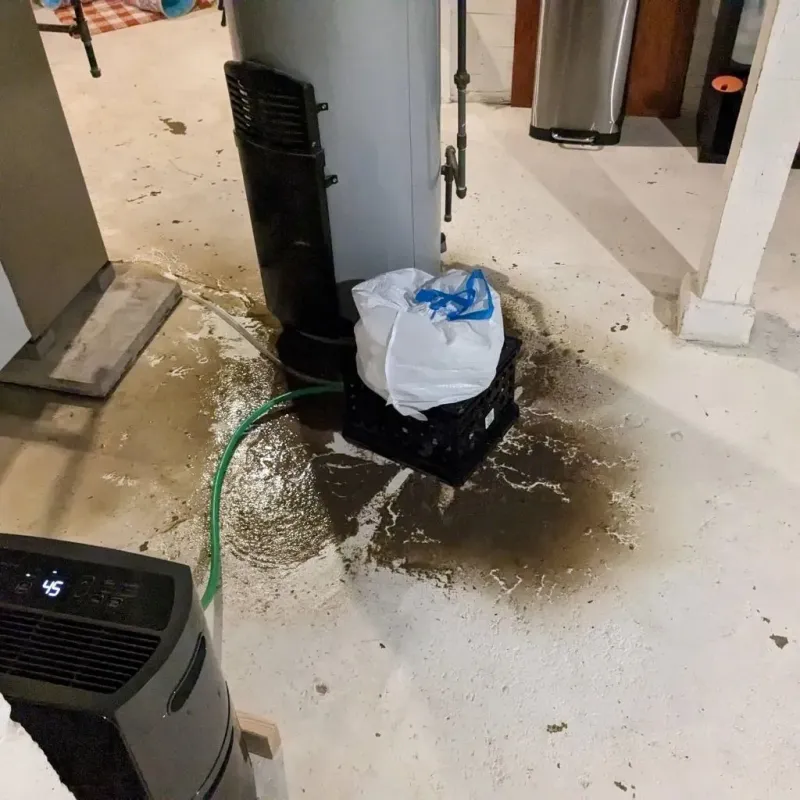 Sewage Backup Cleanup Service in Woodville, MS